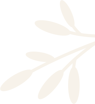 Specialties Shape